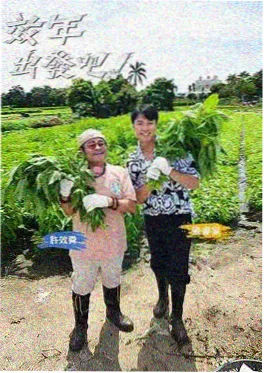 飘花影视推荐 荒岛厨房 综艺海报